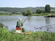 Angler Weser Lingen